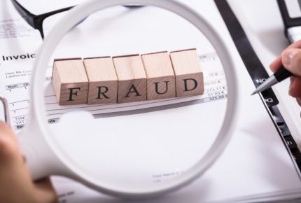 fraud case examples